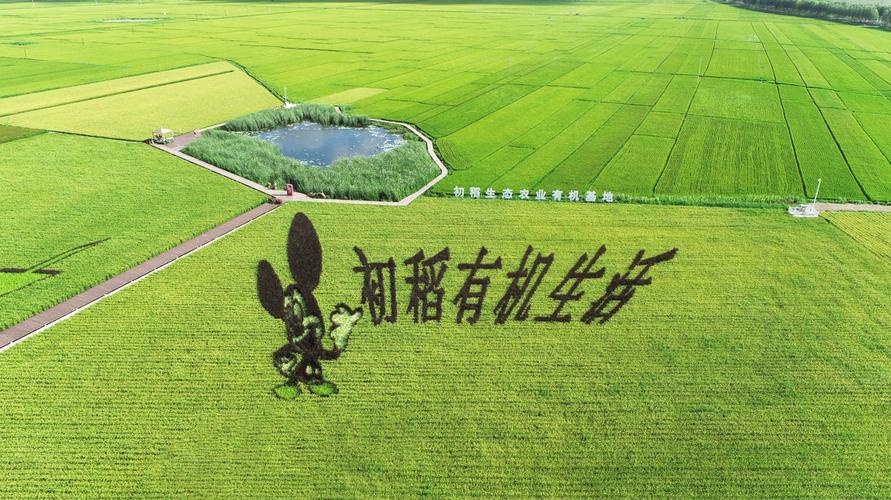 苏州市初稻生态农业科技