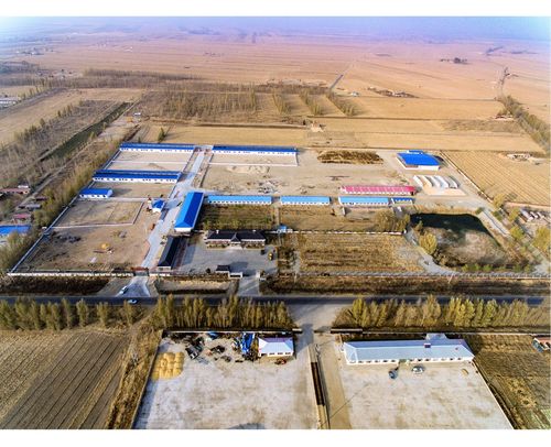 奈曼旗农业综合开发办公室——现代农业园区项目